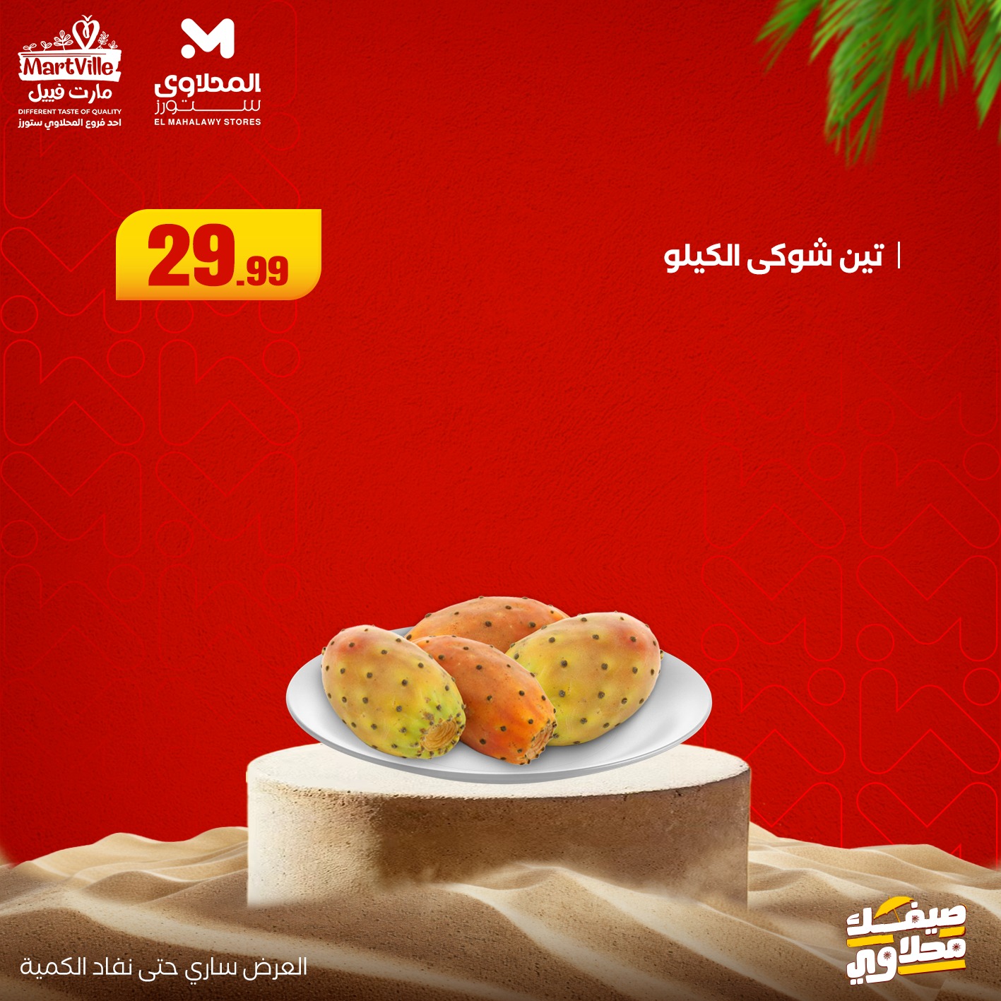 el-mahallawy offers from 13jul to 3jun 2025 عروض المحلاوي من 13 يوليو حتى 3 يونيو 2025 صفحة رقم 7